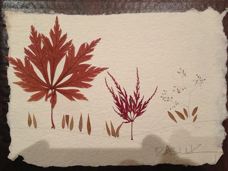 Ali_Baslik_collage_5_klein